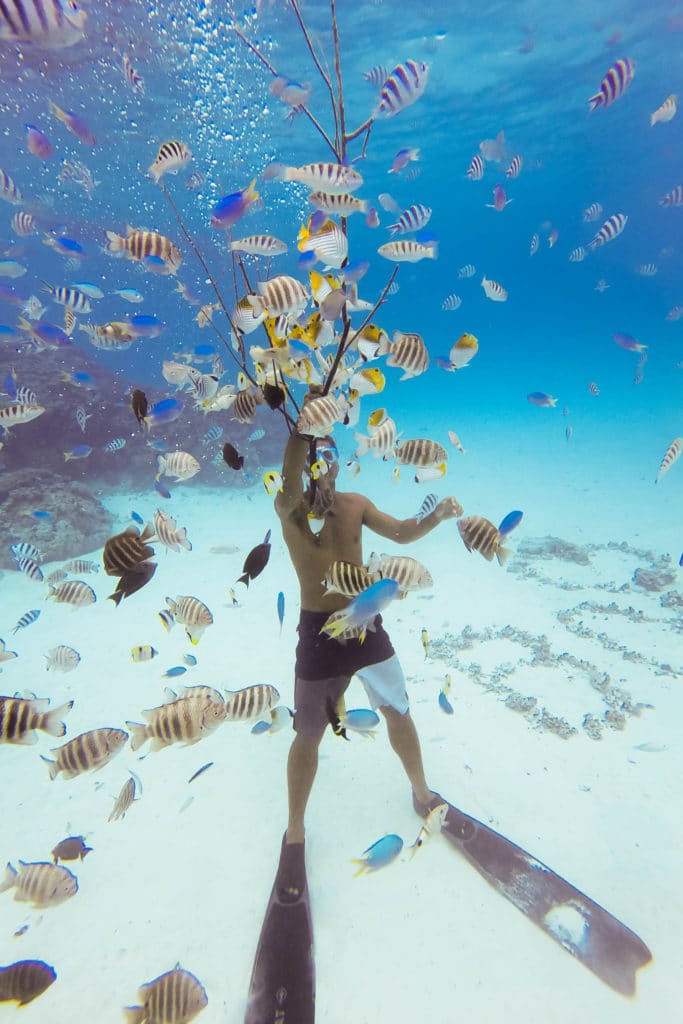 A tour guide playing with fish